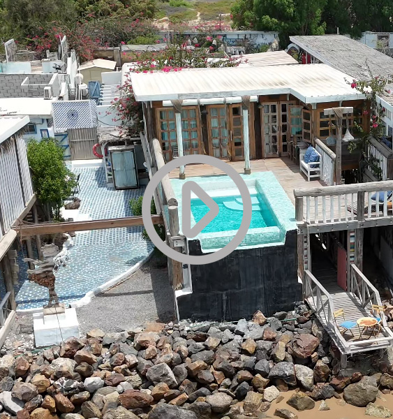 Video Gallery Video Gallery