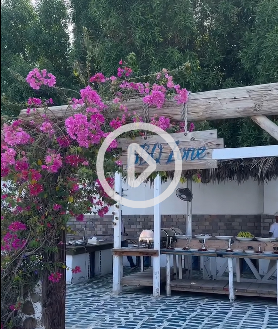 Video Gallery Morning Vibes